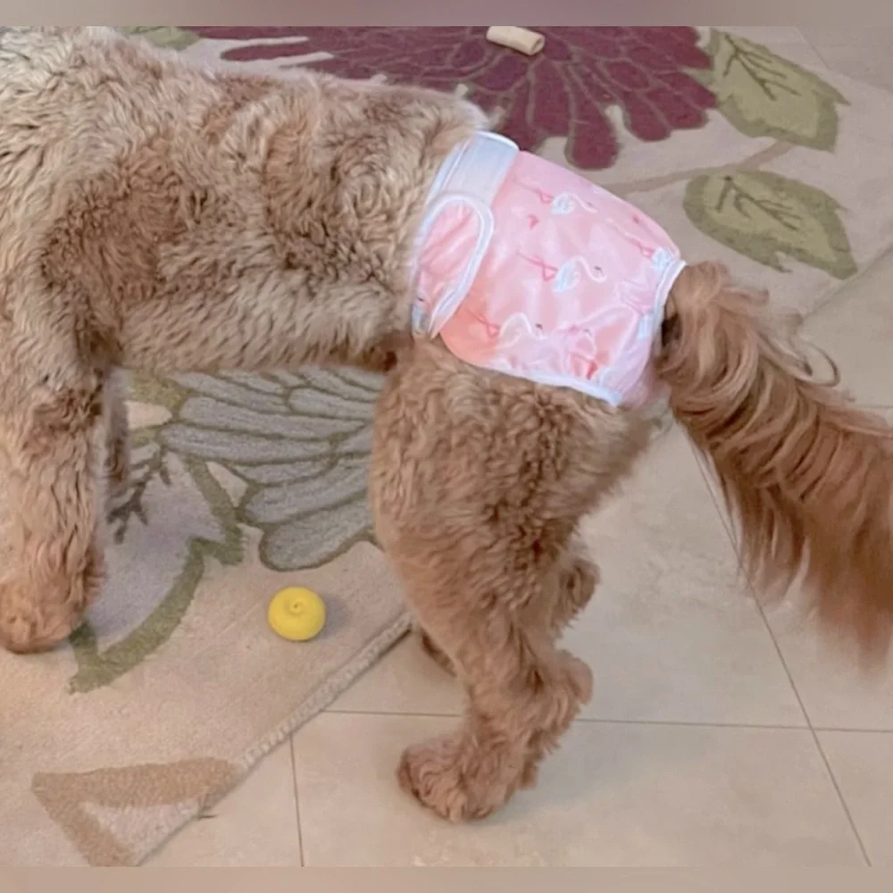 Extra Small Doggie Diapers (2pack)